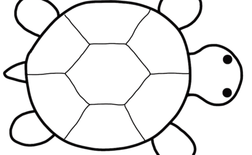 このサイトのキャラクター　かめたん