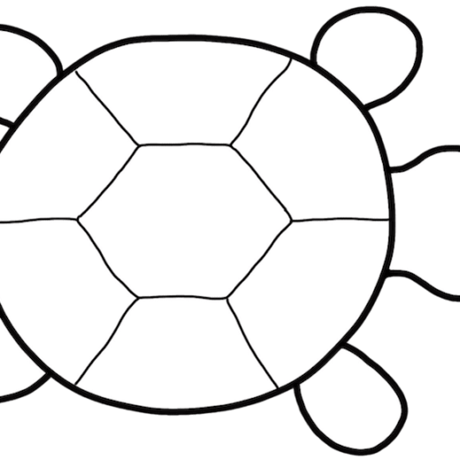 このサイトのキャラクター　かめたん